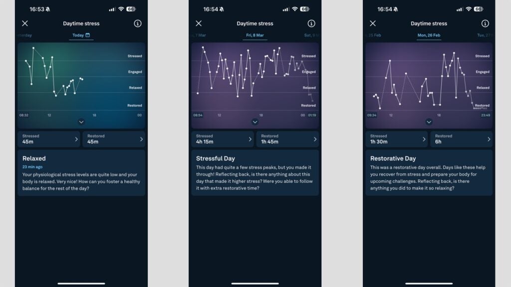 Oura Ring Gen 3 daytime stress