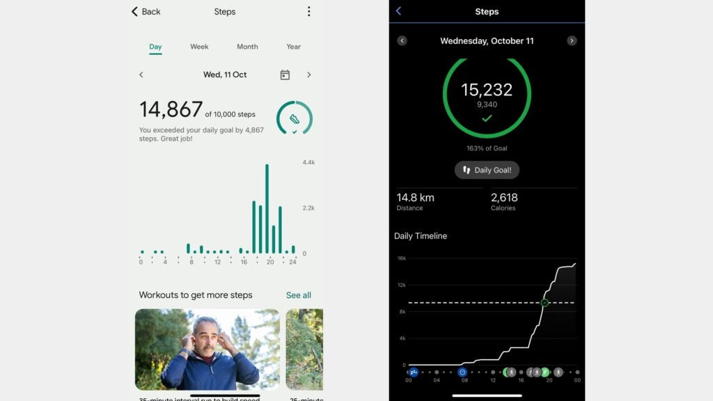 Fitbit Charge 6  data