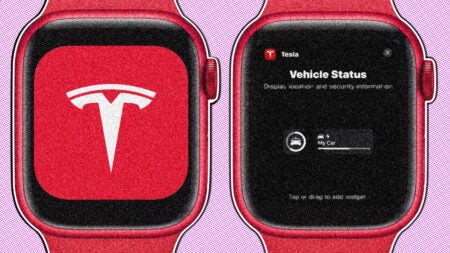 Elon Musk on whether an Apple Watch Tesla app will come: 'Sure'