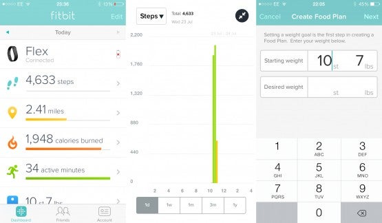 Fitbit Flex review